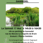 🌿 « À la rencontre des trésors cachés du Marais de Gannedel » 🌿Samedi 17 mai 2025