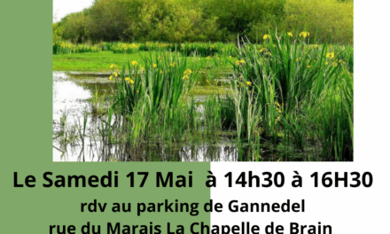 🌿 « À la rencontre des trésors cachés du Marais de Gannedel » 🌿Samedi 17 mai 2025
